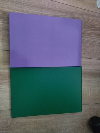 Lot de 2 petits classeurs