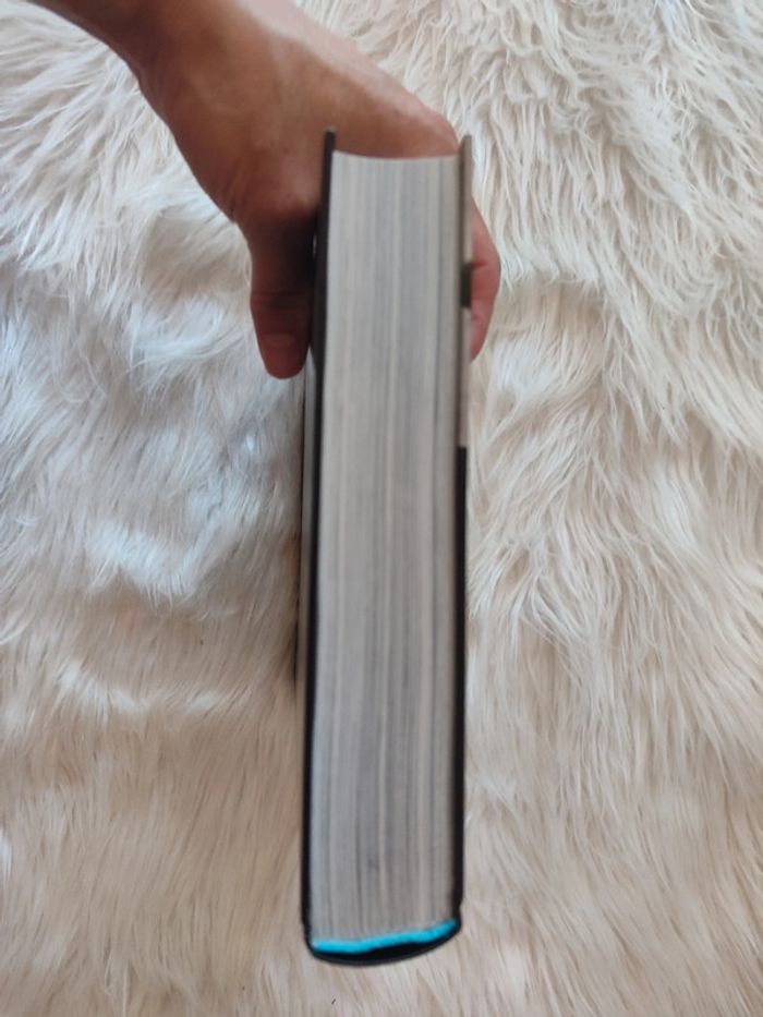 Livres comme neuf 200 ans de crime et de fait divers police de new york - photo numéro 10