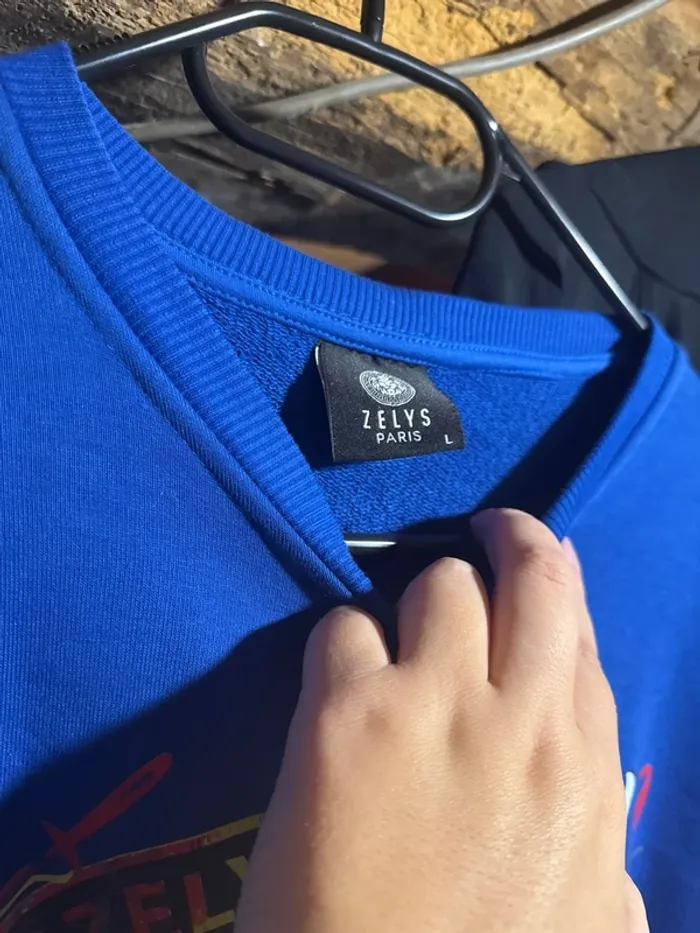 Pull/ sweat sans capuche bleu avec lion coloré - photo numéro 3