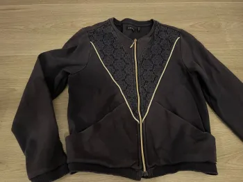 Veste ikks