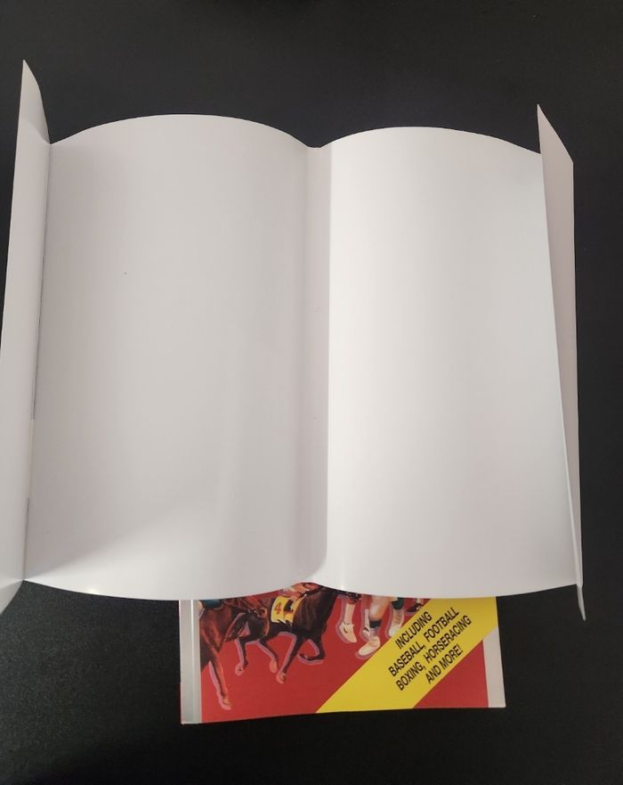 Almanac retour vers le futur - photo numéro 3