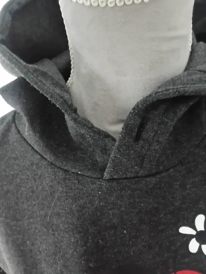 🌹pull a capuche Disney Taille 40🌹 - photo numéro 4