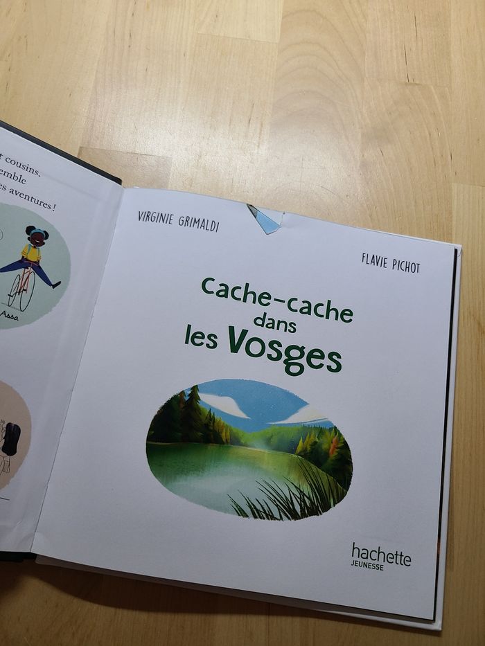 Cache cache dans les Vosges - photo numéro 3