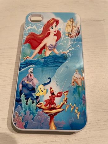 Étui ariel la petite