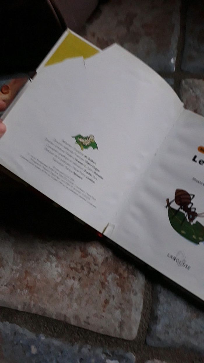 Mes petites encyclopédies junior - photo numéro 3