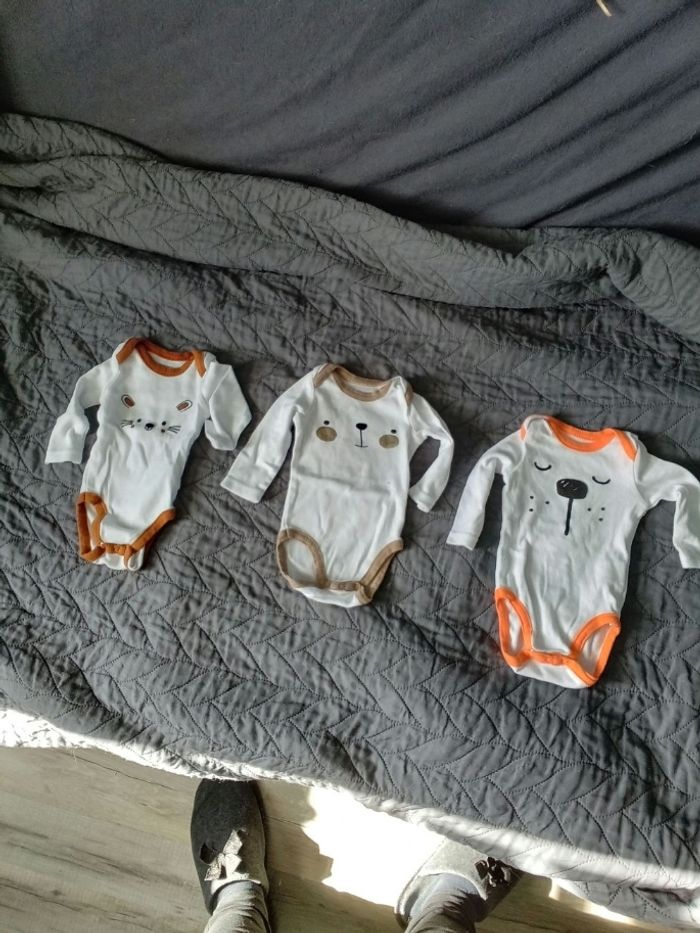Bodies