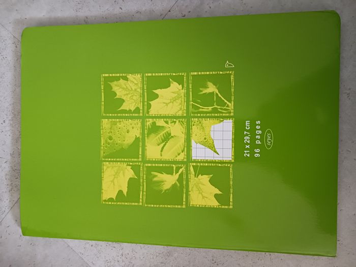cahier vert 96 pages 21x29,7 cm petits carreaux Seyes