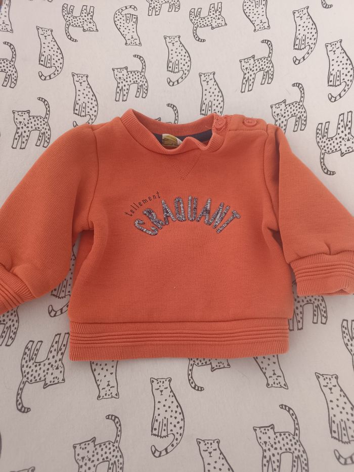 Pull  3 mois