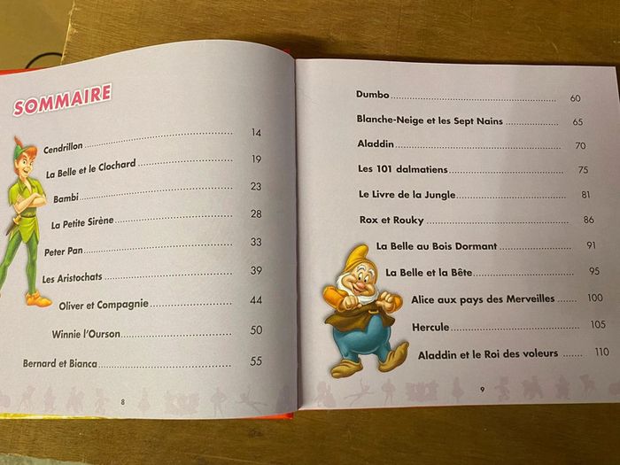 Disney livre - photo numéro 2