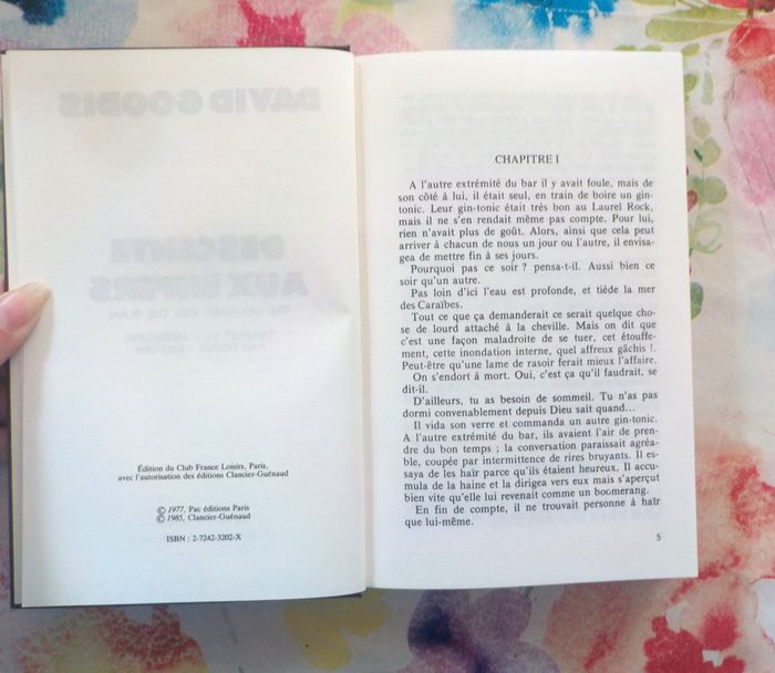 DESCENTE AUX ENFERS de David GOODIS Ed. France Loisirs - photo numéro 4