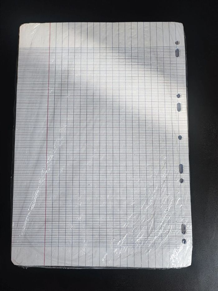 Paquet de 100 feuilles simples - photo numéro 2