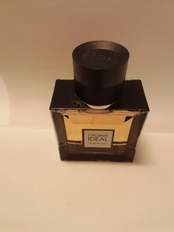Terre d'Hermes, eau de toilette homme 50 ml
