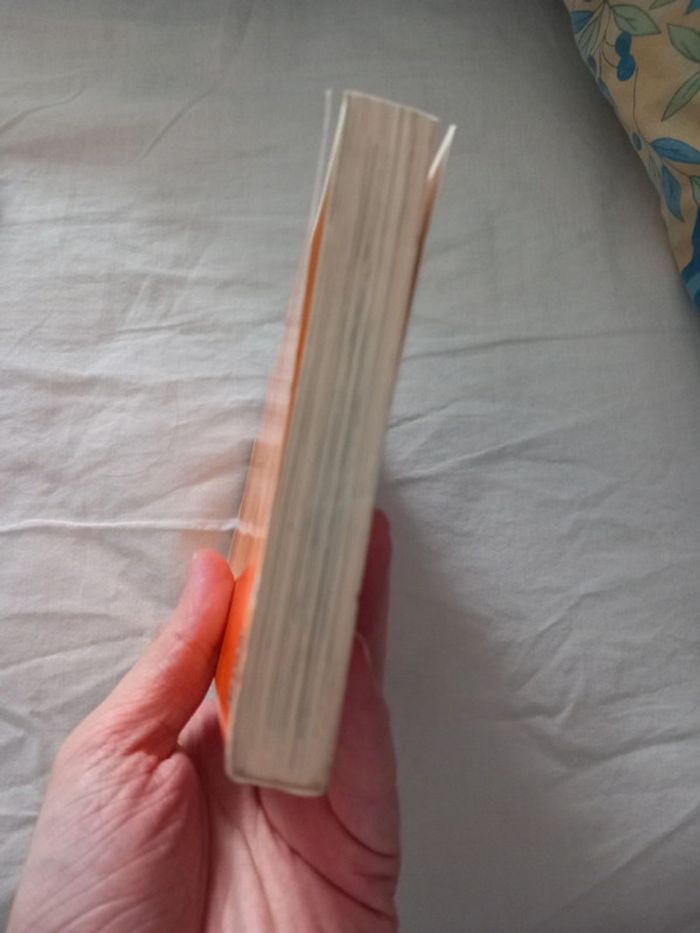 Love Hina Volume 1 - photo numéro 6