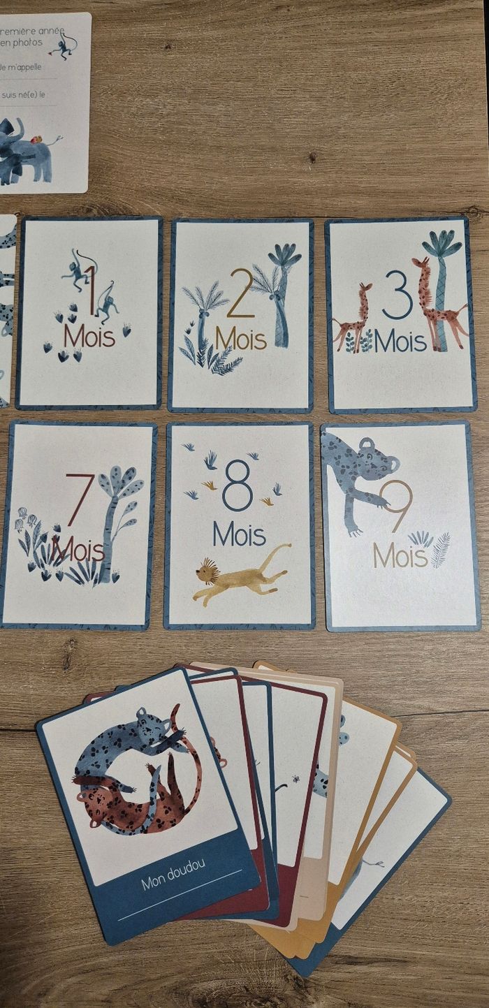 Cartes mes 12 premiers mois Moulin Roty - photo numéro 7