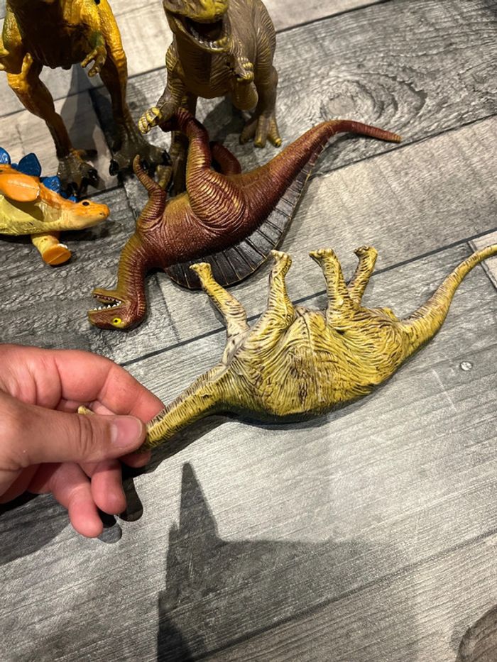 Dinosaures en bon état - photo numéro 6