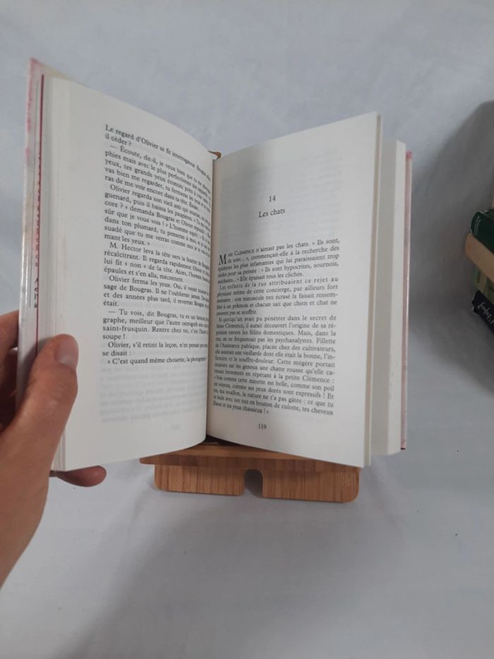 Robert Sabatier, Olivier et ses amis, C4 - photo numéro 5