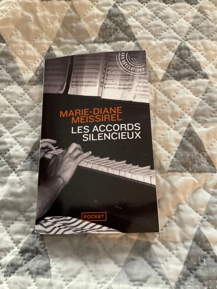 # les accords silencieux Marie Diane Meissirel. ) - photo numéro 2