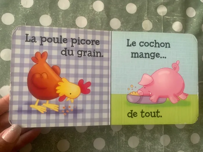 Livre poignée - photo numéro 9