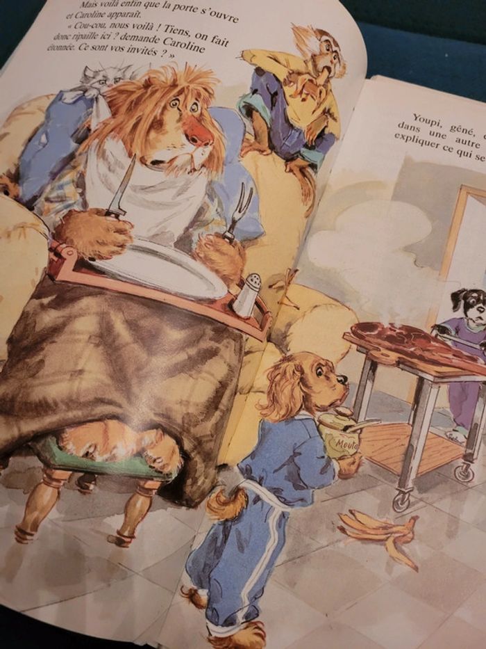 Caroline et les Vagabonds SDF lion crinière livre album collection années 90 Pierre Probst - photo numéro 7