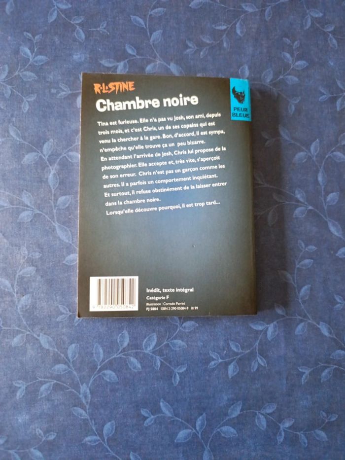 Livre peur bleue chambre noire - photo numéro 2