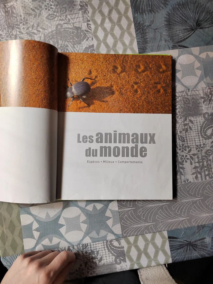 Livre Savoir actuel- Les animaux du monde - photo numéro 4