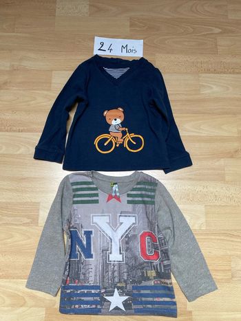 Lot 2 tee-shirts manches longues 24 mois Différentes marques