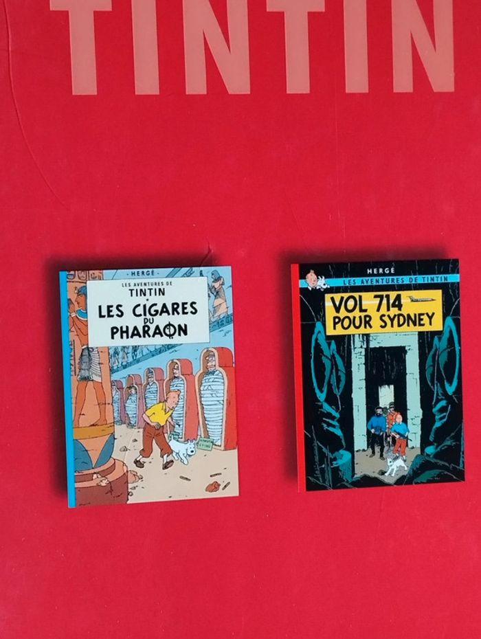 Les aventures de Tintin club France loisirs 2007 Casterman - photo numéro 2