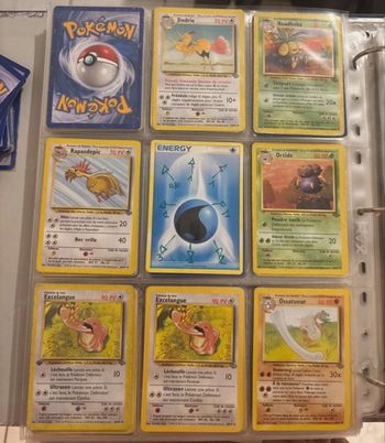 Cartes Polemon Wizards Jungle Édition 1 et Édition 2