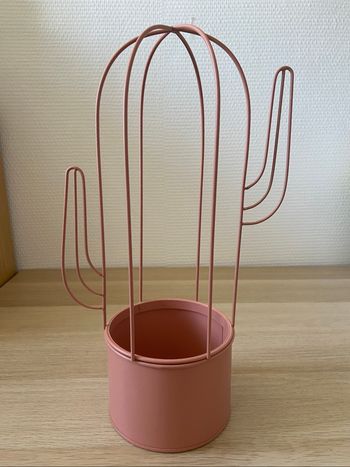 Décoration Cactus