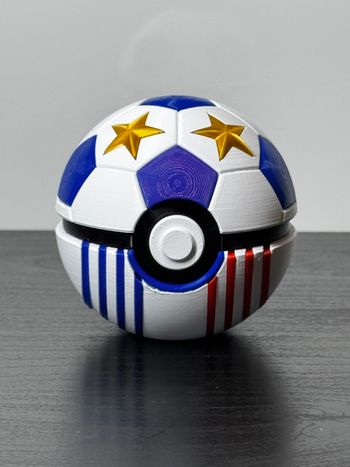 Ballon équipe de France, extérieur