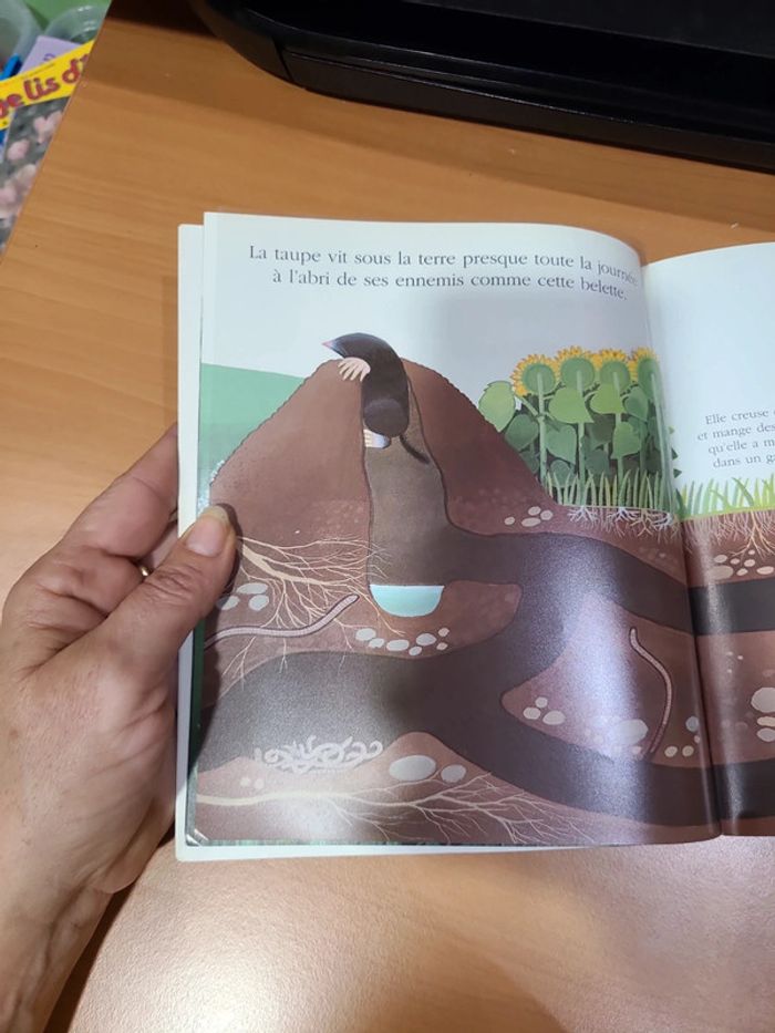 Cache cache le monde sous terre - photo numéro 18