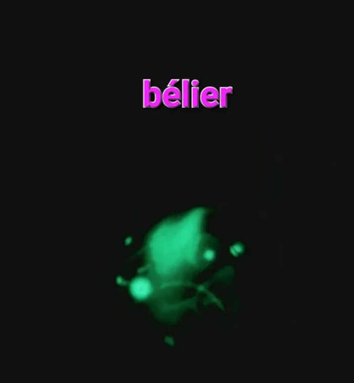 Porte-clés signe astrologique bélier - photo numéro 2