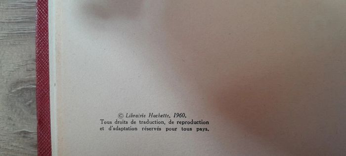 Les trois enfants (quatrevingt-treize) par Victor Hugo - photo numéro 9