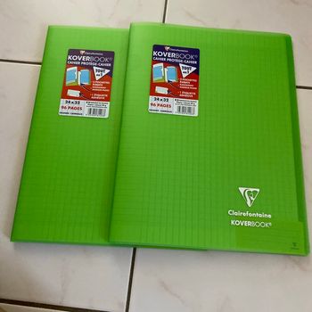 Le lot de 2 cahiers grands carreaux
