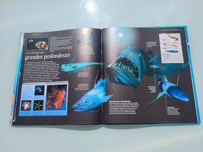 Livre Les Océans 🌊 à la loupe, éditions Larousse - photo numéro 11