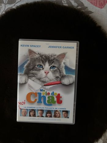 Ma vie de chat