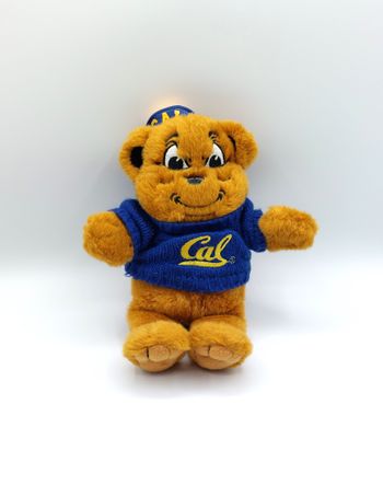Peluche doudou ours CAL jaune brun clair MARKET IDENTITY pull bleu et bob 28 cm université Californi
