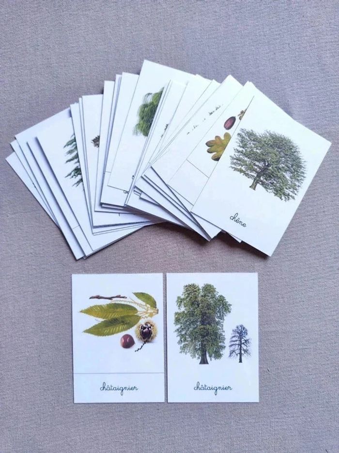 48 cartes de nomenclature recto verso des arbres - photo numéro 2