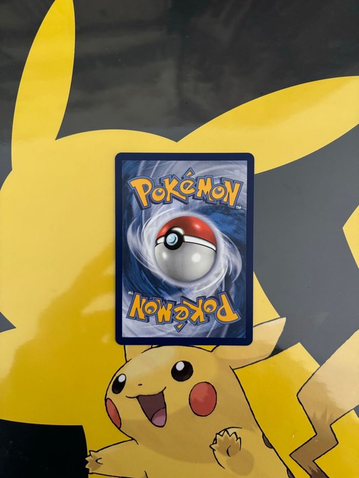Mega Roitiflam EX 35 Promo - photo numéro 2