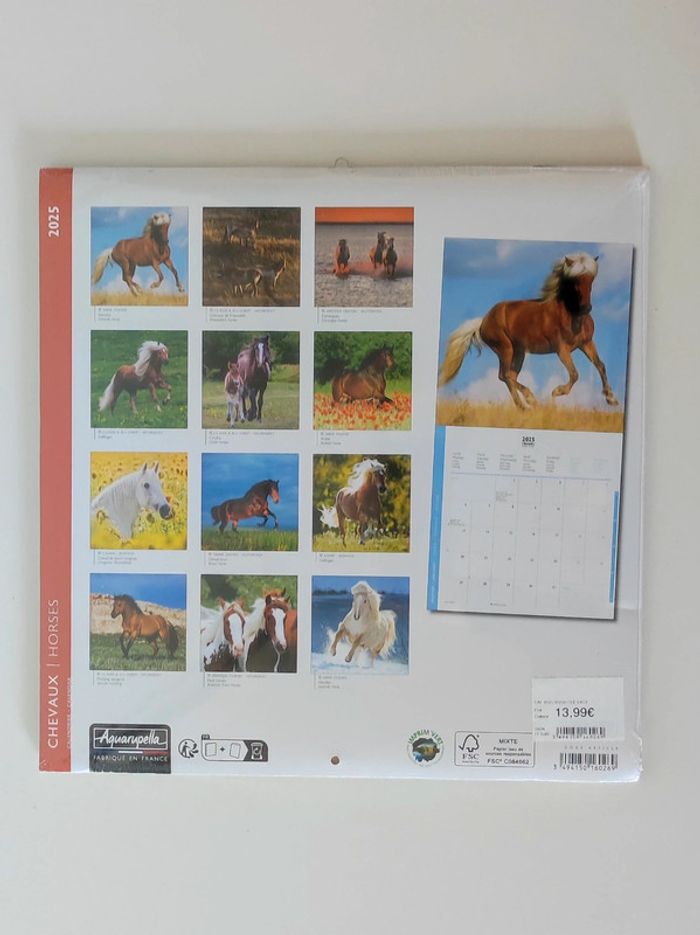 Calendrier 2025 chevaux 16 mois / Aquarupella - photo numéro 2