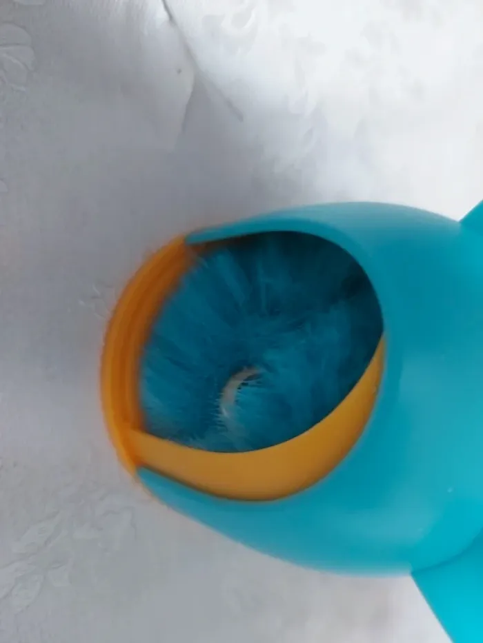 Animal pompon dans sa maison - photo numéro 2