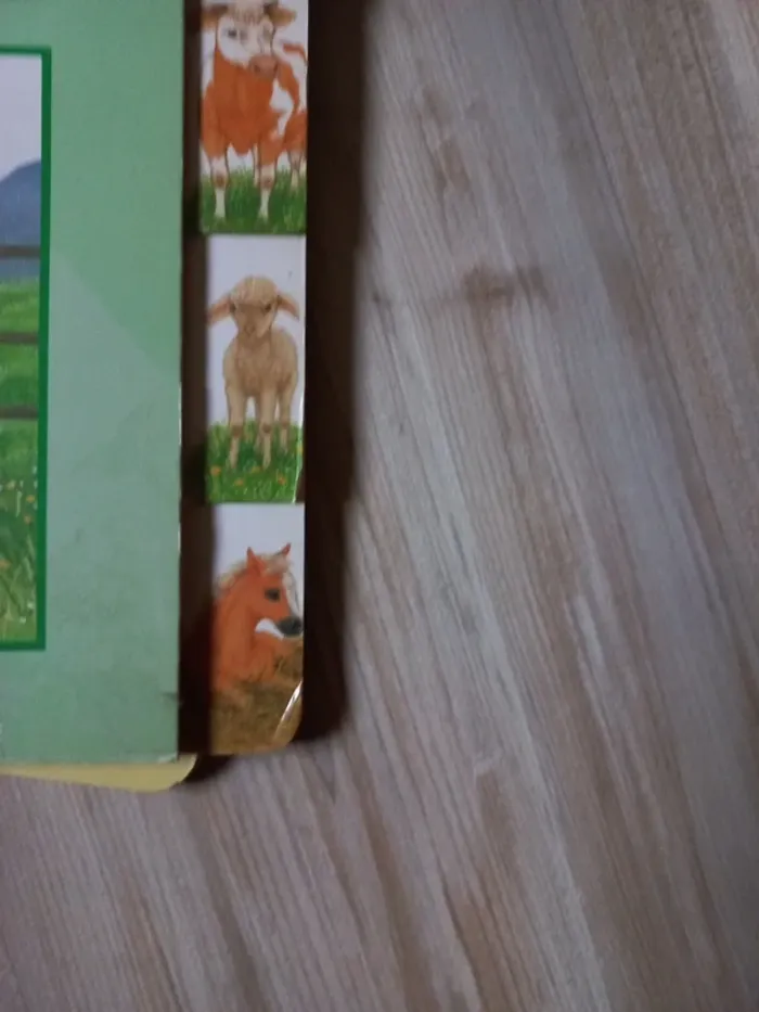 Lot de 2 livres sur connait-tu le petit chien? Et sur connaît-tu le petit cheval? - photo numéro 10
