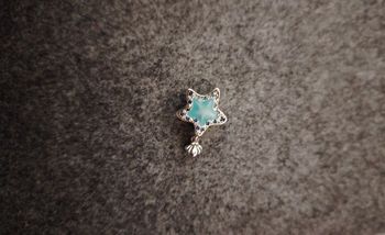 Charm étoile de mer compatible bracelet pandora