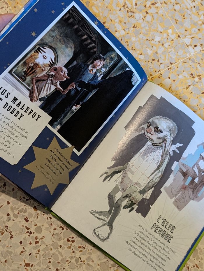 Livre Dobby neuf - photo numéro 3
