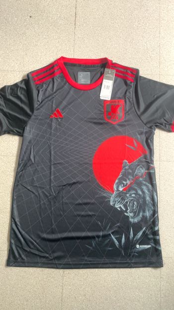 Maillot Japon