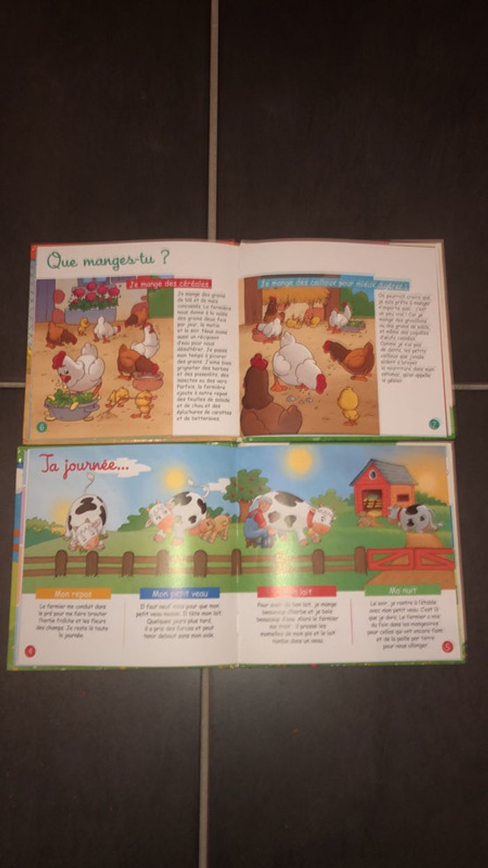 Lot 2 livres - photo numéro 2