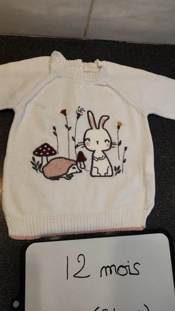 pull taille 12 mois - photo numéro 2