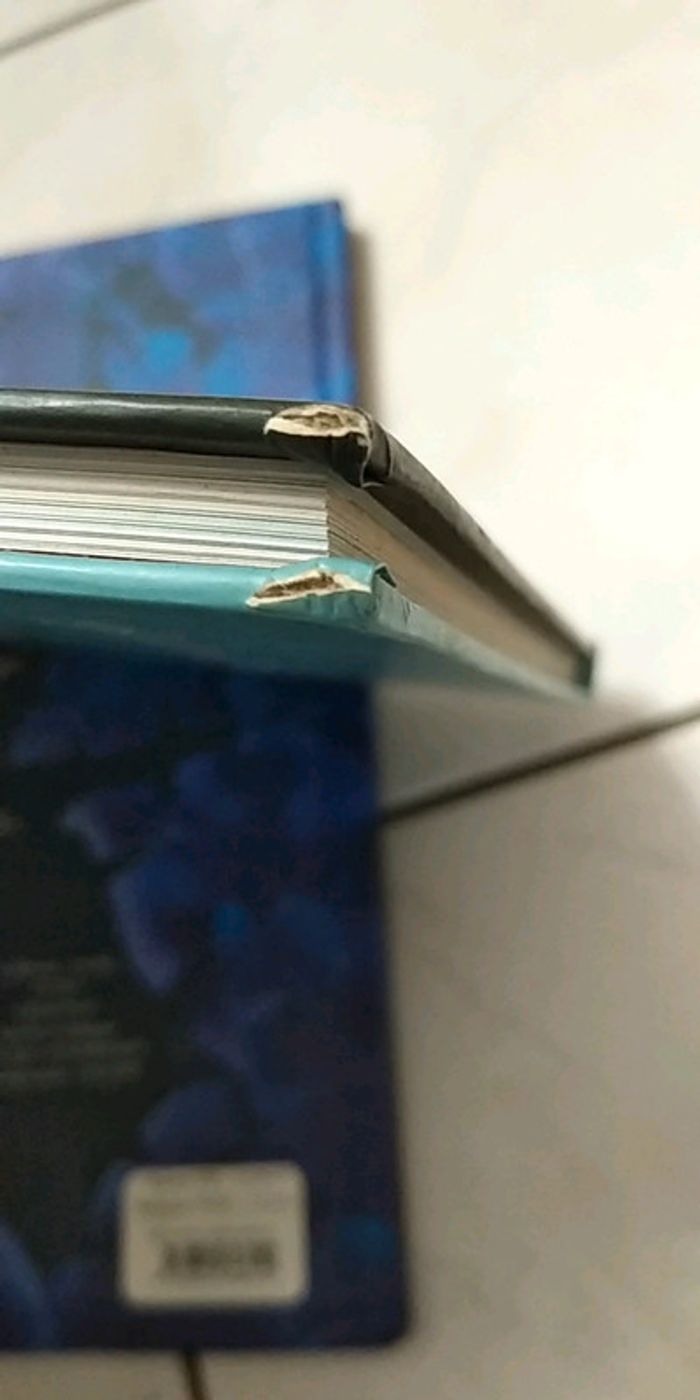 Livre Fées et Princesses - photo numéro 5