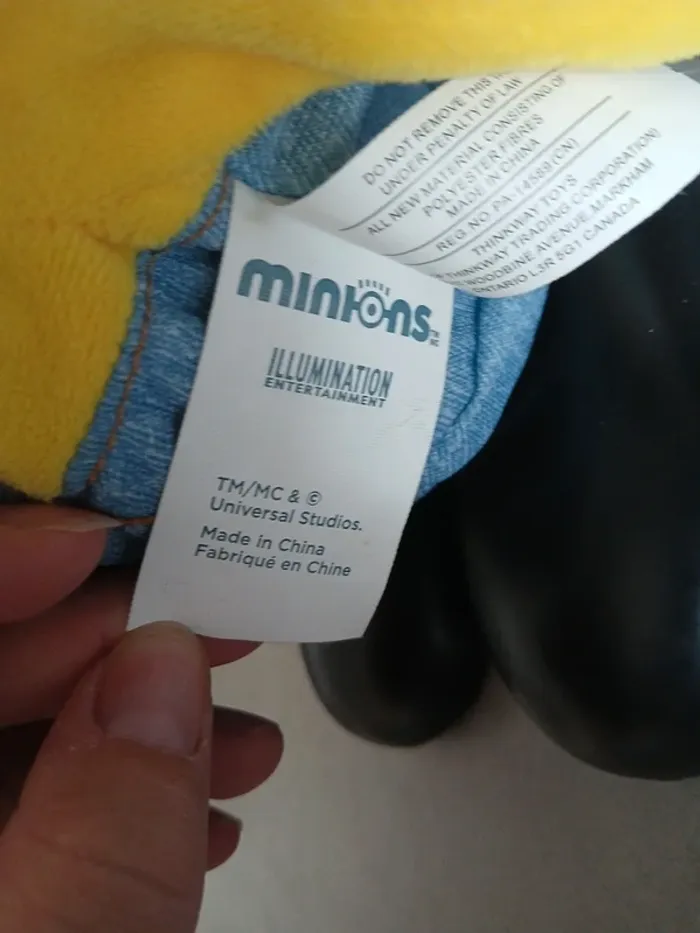 Robot minions - photo numéro 3