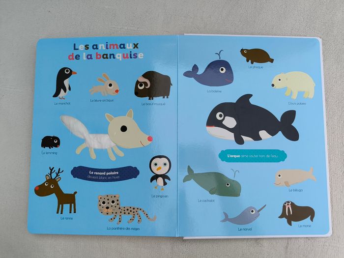 Livre Mes premiers animaux à toucher Auzou - photo numéro 7